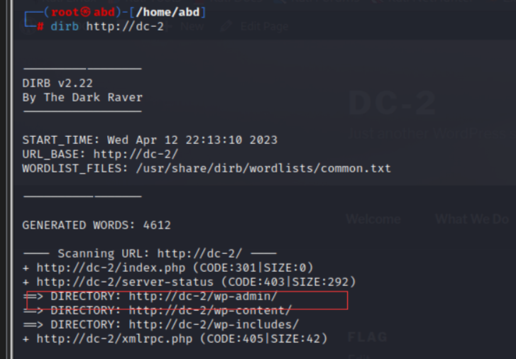 image-20240514183845652